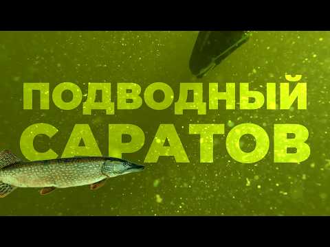 Видео: Здесь есть почти ЛЮБАЯ РЫБА! Подводная охота в Саратове