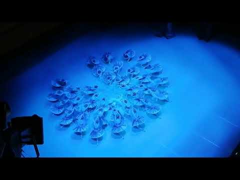 Видео: Раймонда 25окт 2025