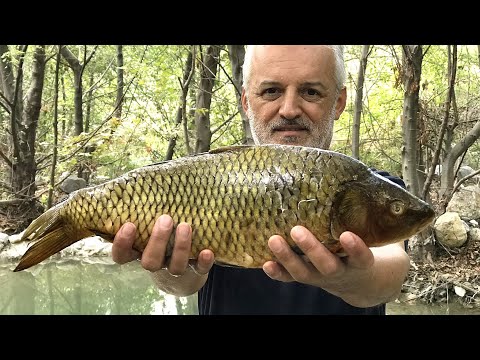Видео: Рыба в соленой корочке Рецепт в природе | Приготовление таинственной рыбы