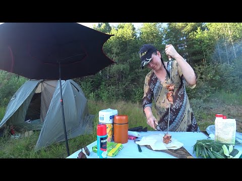 Видео: ДЕВОЧКИ ХОДЯТ ТАК, ДАЖЕ ЛОДКА НЕ ПОШЛА!  ВСЕЙ СЕМЬЕЙ НА РЫБАЛКУ \ ЛЕЩЁК ПО ШАШЛЫЧОК, НОЧЬ НА БЕРЕГУ