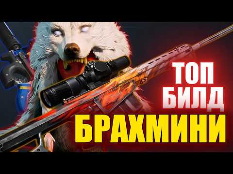 Видео: ONCE HUMAN - БРАХМИНИ ТОП БИЛД СНОВА ИМБА