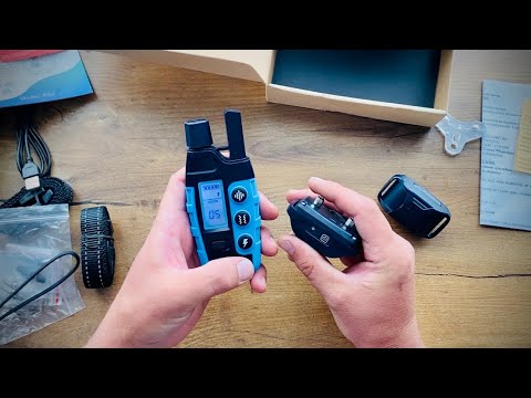 Видео: Электронный ошейник FS-250 или невидимый поводок для собак