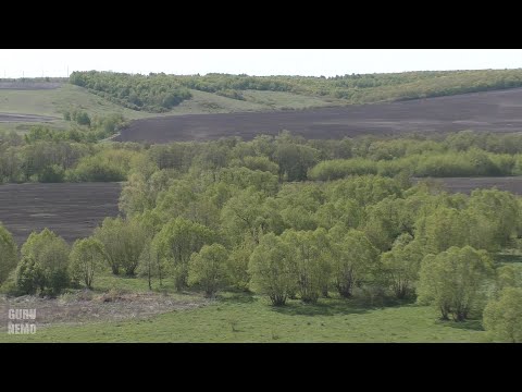 Видео: Несколько дней в Саратовской области. Озёрки - Лох - Сокур - Ягодная Поляна ( часть 6 )