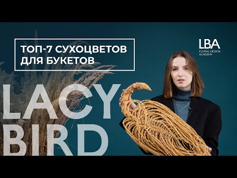 Видео: ТОП 7 СУХОЦВЕТОВ ДЛЯ БУКЕТОВ