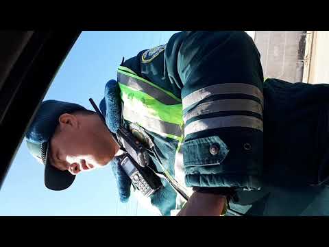 Видео: Себебсиз тохтатип кол жугиртп нервимда ойнап турсан дейма???