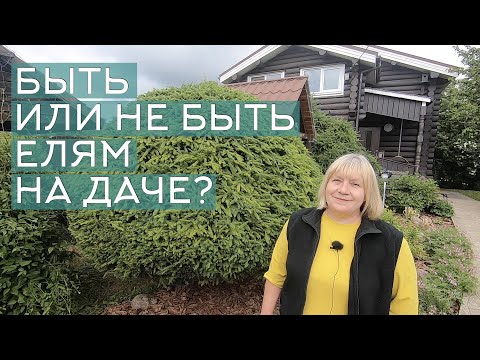 Видео: Быть или не быть елям на садовом участке? Стрижка ёлок, формирование шаром, инструменты для стрижки