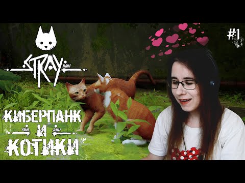 Видео: КИБЕРПАНК И КОТИКИ ● Stray #1