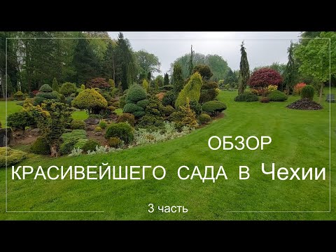 Видео: Красивейший сад в Чехии. Miniarboretum u Holubů. Азалии расцветают. 3 часть.