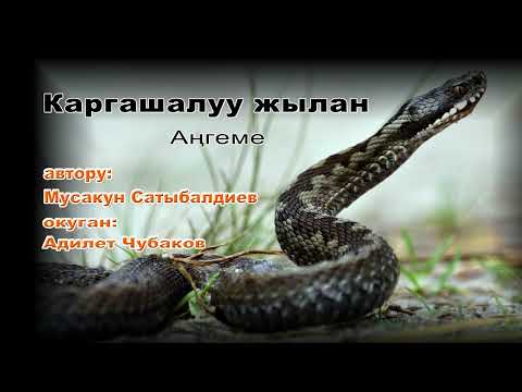 Видео: АҢГЕМЕ \ КАРГАШАЛУУ ЖЫЛАН \ АУДИО КИТЕП