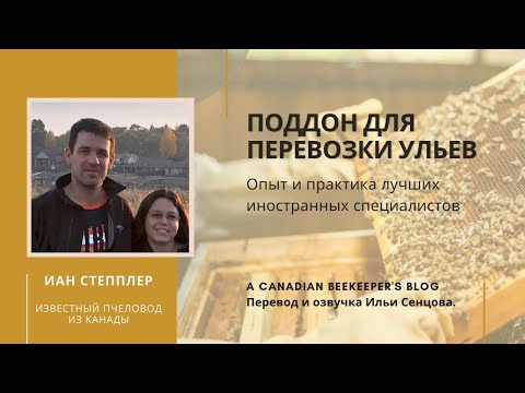 Видео: Иан Степплер: мой вариант промышленного кочевого поддона (Канада)