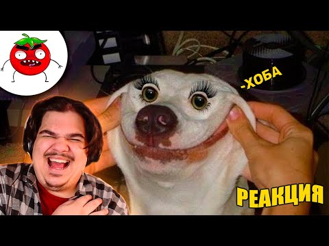 Видео: ▷ ЗАСМЕЯЛСЯ ПОДПИСАЛСЯ | ТЕСТ НА ПСИХИКУ ЧЕЛЕНДЖ | ПОДБОРКА СВЕЖИХ ПРИКОЛОВ | РЕАКЦИЯ