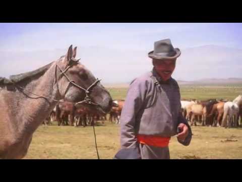 Видео: монгол улсын сайн малчин д.наранчимэг  naranchmeg