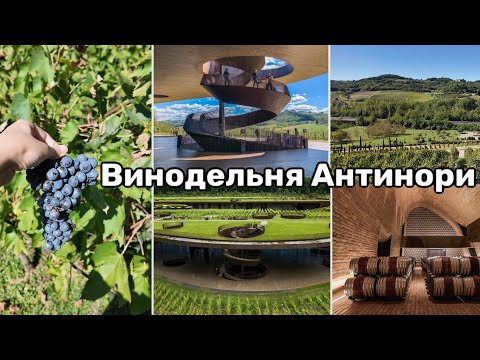 Видео: Винодельня Antinori в Тоскане. Как делают вино ремесленным способом. Ризотто с вином