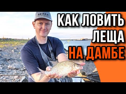 Видео: Как ловить леща на ДАМБЕ.