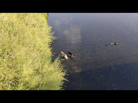 Видео: На лов във Водното огледало!