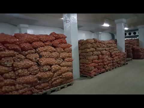 Видео: ХОЛОДИЛЬНИК МЕВАЧЕВА САБЗАВОТНИ САКЛАБ СОТИШ