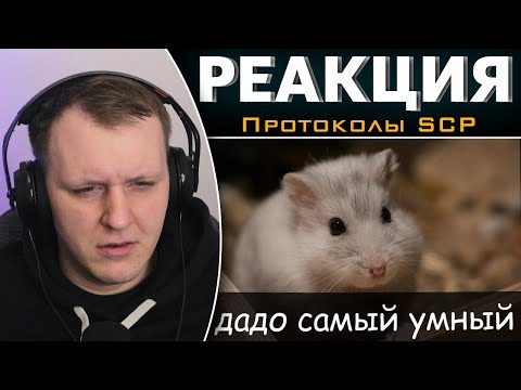 Видео: дадо самый умный [ЛОР] | Реакция на Протоколы SCP