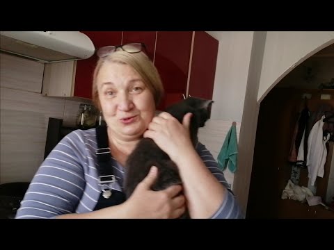 Видео: Новый жилец... Буся🐱