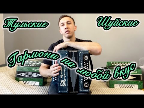 Видео: Гармонь Тульская 301 и Чайка 2, м204