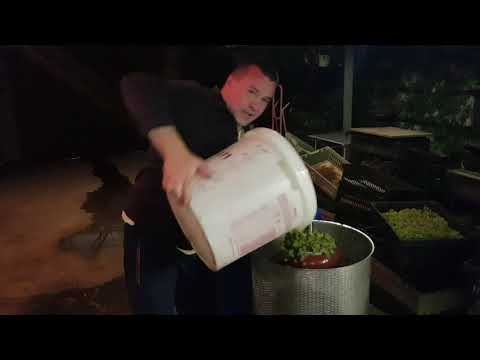 Видео: Микровиноделие. Начало виноградного сезона 2019.Перерабатываем Шардоне.