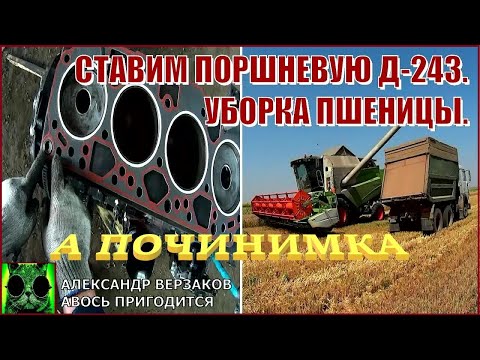 Видео: Началось в колхозе утро 9/3-й выпуск 2023г. Ставим поршневую Д-243.  Уборка пшеницы.