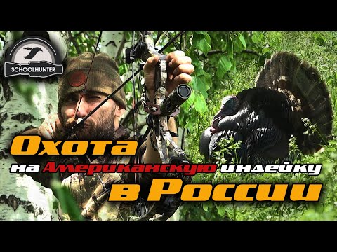 Видео: Охота на американскую индейку. Не совсем традиционная охота.