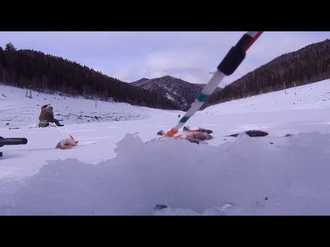 Видео: Рыбалка на Саяно-Шушенском водохранилище | Залив Абдыр | Часть-1