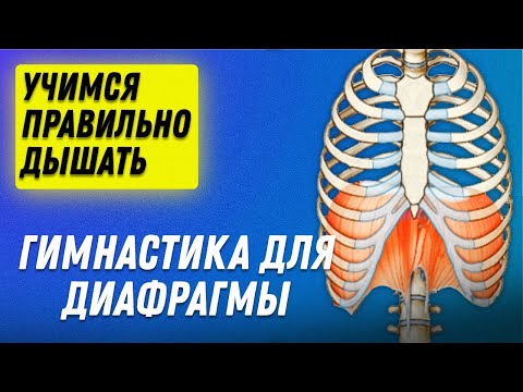 Видео: ГИМНАСТИКА ДЛЯ ДИАФРАГМЫ. Полезные упражнения на каждый день | Остеопат Марина Просветина