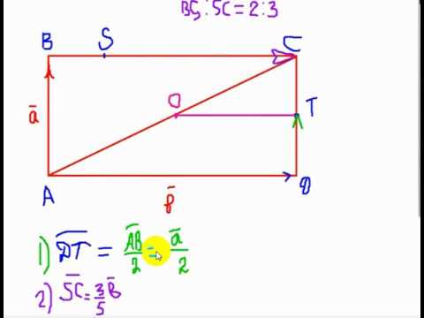 Видео: векторларды орнектеу Нартаймен