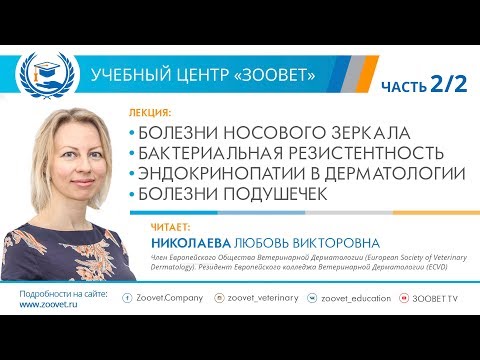 Видео: Л.В. Николаева УЦ ЗООВЕТ | Дерматология. Часть 2/2