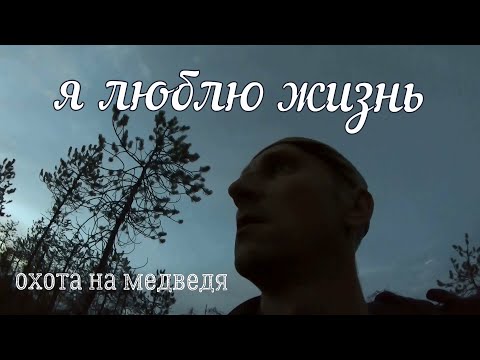 Видео: Медведь рядом,как взять? Я люблю жизнь!