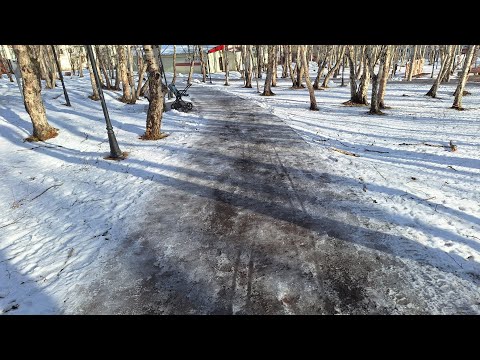 Видео: 12.11.25. Пробежалась на разведку🏃🏃🏃