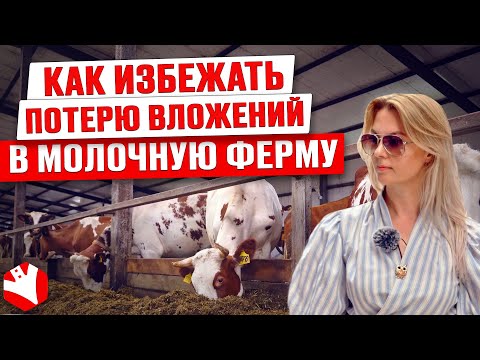 Видео: Как избежать потерю вложений в молочную ферму | Молочное животноводство