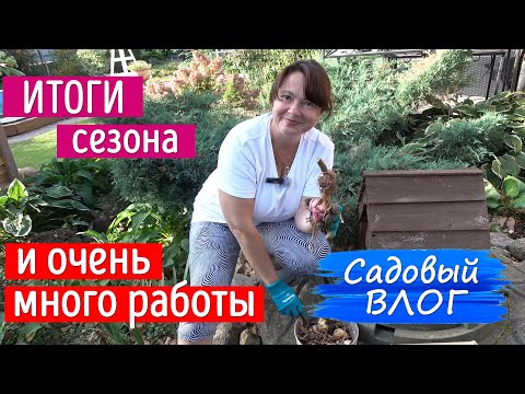 Видео: До заморозков - два дня. Приводим сад в порядок! Итоги сезона 2024.