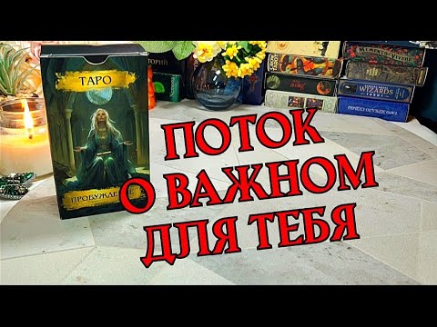 Видео: ✨🦋 ПОТОК 🦋✨ О тебе, о важном для тебя...