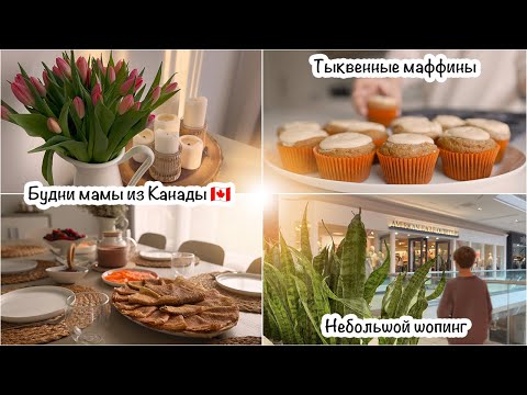 Видео: Будни мамы из Канады🇨🇦Завтрак🥞Обед🍝Ужин🥗Небольшой шопинг🛍Тыквенные маффины🧁