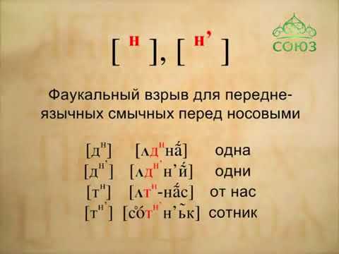 Видео: 4.1.9. Транскрипционные знаки - 2