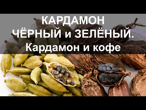 Видео: Кардамон чёрный и зелёный. Кардамон и кофе