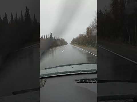 Видео: 4 октября 2024 г.