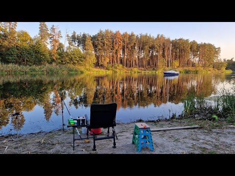 Видео: Рыбалка с ночевкой Старый Салтов / Печенежское водохранилище