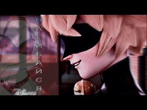 Видео: Леди Баг и Супер Кот | Нагибайся [12+] (Совместно с Cable11)