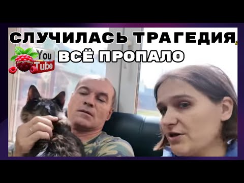 Видео: Бровченко /Случилась трагедия /Все пропало /Обзор /Семья Бровченко /Деревенский дневник 
