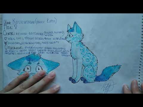 Видео: Рисунки Котов-Воителей/2 часть/Смотри описание