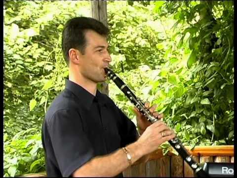 Видео: Оркестър Добруджански славеи- Хайдути в село влязоха