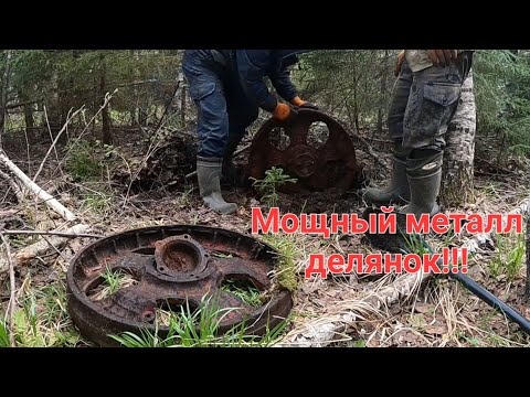 Видео: По следам советских лесорубов.Металлокоп в делянках.