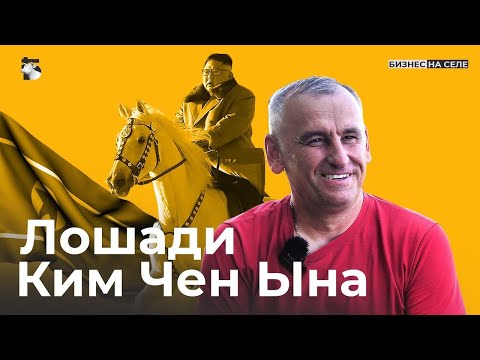 Видео: Орловские рысаки для Северной Кореи. Как фермер из Татарстана выращивает коней для Ким Чен Ына