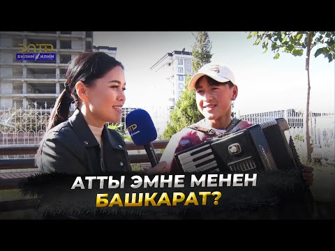 Видео: АТТЫ ЭМНЕ МЕНЕН БАШКАРЫШАТ? //Теле тест