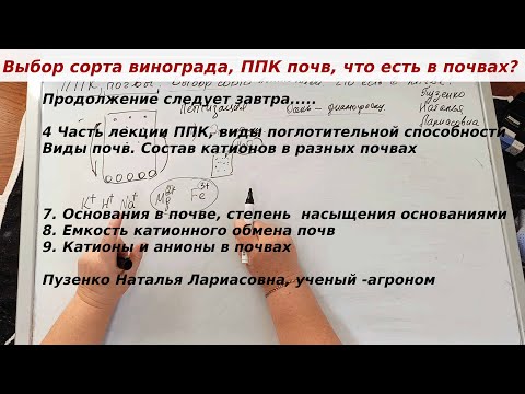 Видео: Поглотительная способность различных почв, анионы и катионы почвы, емкость катионного обмена.