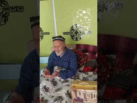 Видео: Хочаи аъло   #tajikistan #исфара #khujand #топ #vorukh #чоркух