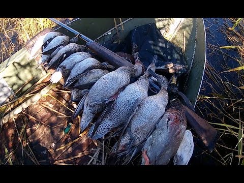 Видео: Охота на утку в 2018 году! МЦ-21-12!
